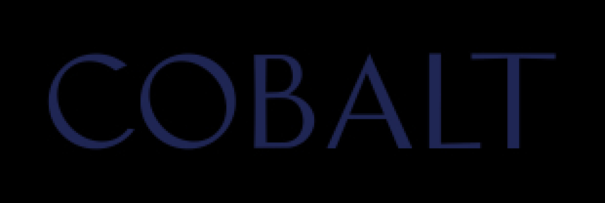logo-demo