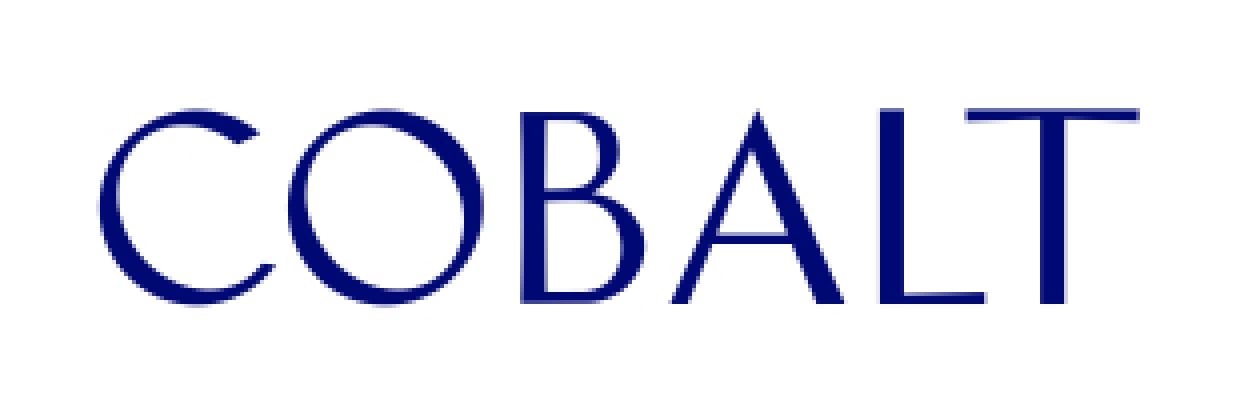 logo-demo